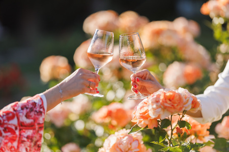 Slika 1 - 705290_Vrtnice&Rose_Foto-Jaka_Ivančič (1)